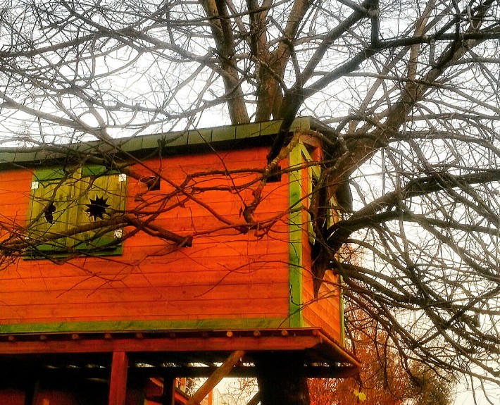 casetta sull'albero